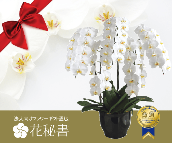 花秘書